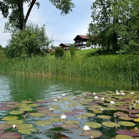 Fruehstueckspension Seefried Thiersee